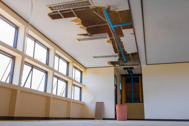 Best Sewage cleanup and water damage restoration  in St Albans, WV