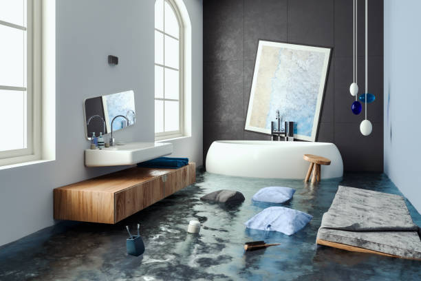 Best Mold removal after water damage  in St Albans, WV
