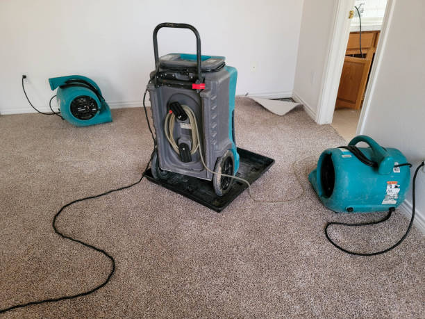 Best Fire Damage Restoration  in St Albans, WV