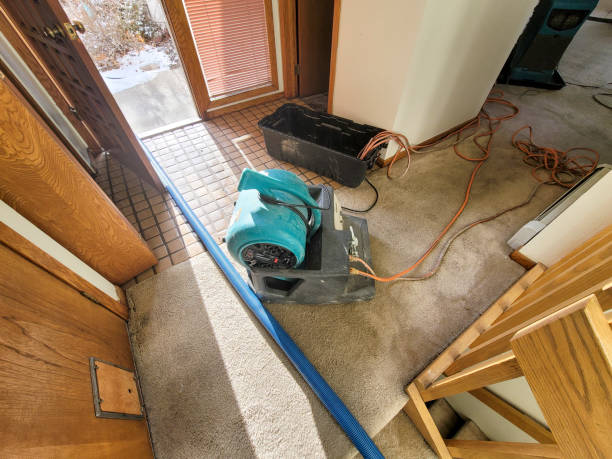 Best Water damage contractors near me  in St Albans, WV
