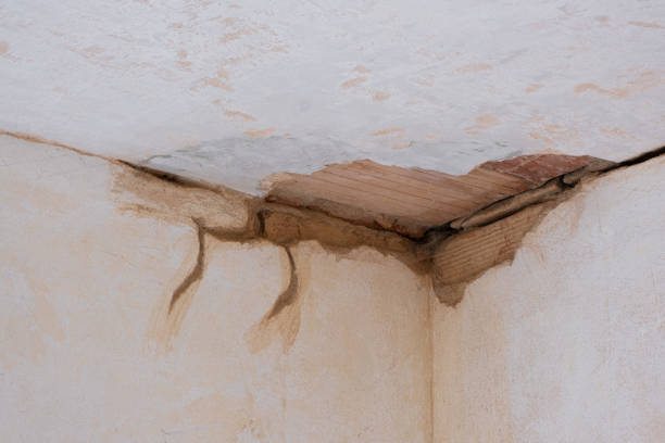 Trusted St Albans, WV Water damage restoration Experts