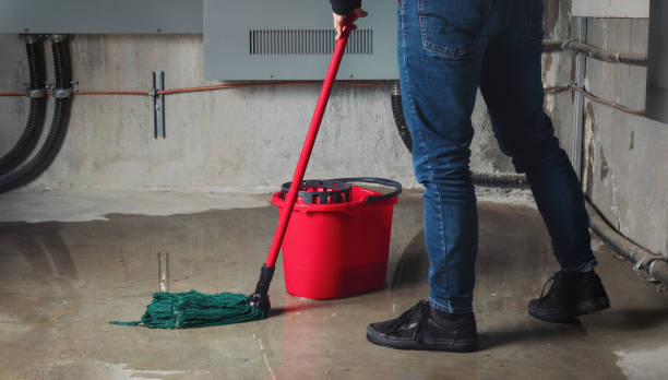 Best Local water damage restoration  in St Albans, WV