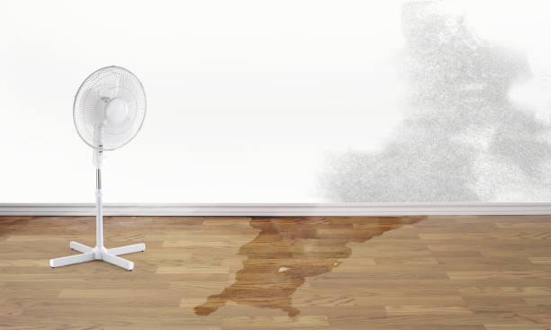 Best 24-hour water damage restoration  in St Albans, WV