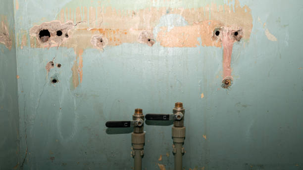 Best Water damage restoration cost  in St Albans, WV