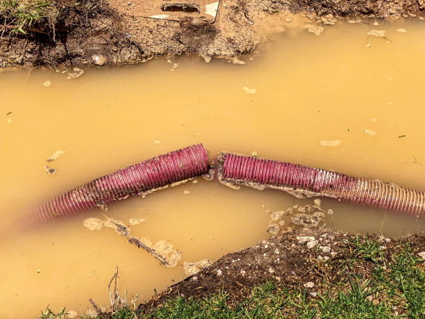 Best Residential water damage restoration  in St Albans, WV