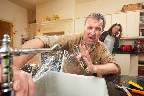 Best Water damage repair service  in St Albans, WV